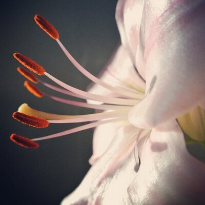 Profile Picture of Jess Dudas (@jessdudas77) on Twitter