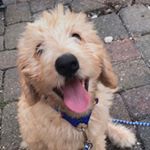 Profile Picture of Cooper Russell (@coopdagram) on Instagram