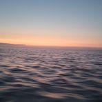 Profile Picture of Michael Wittek (@Michael-Wittek) on Facebook