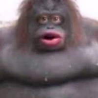 Profile Picture of Dylan Muller (@dylan-muller-23) on Quora