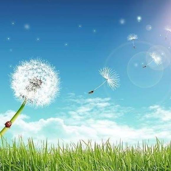 Profile Picture of Jin Jin (@jinjin1718) on Poshmark