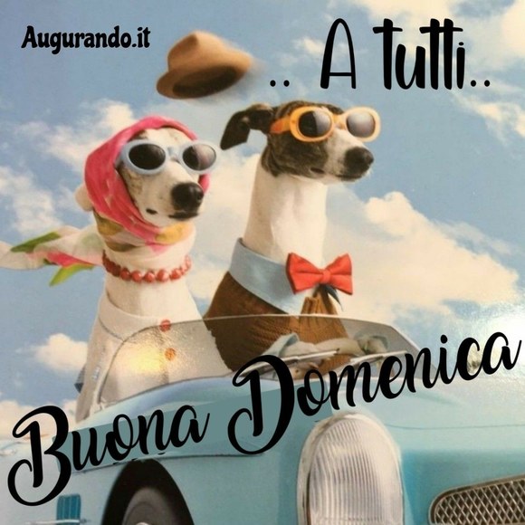 Profile Picture of Pietro Mione (@pietromione6) on Poshmark