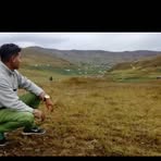 Profile Picture of Alexander D'amore (@Alexander-Damore) on Facebook