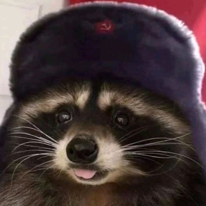 Profile Picture of Evan Stafford (@stafford758) on Tiktok
