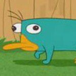 Tom Callaway - Instagram Profile Picture of Tom Callaway (@spotrh) on Instagram