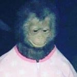 Profile Picture of erikwarren24 (@erikwarren24) on Instagram