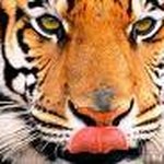 Profile Picture of Sergio Facchini (@sergio.facchini) on Instagram