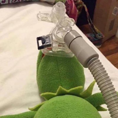 Profile Picture of Hollywood (@jim76420930) on Twitter