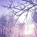 Profile Picture of Sophia Peng (@chan_peng_68) on Instagram