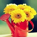 Profile Picture of rodrigo (@royweiler) on Instagram