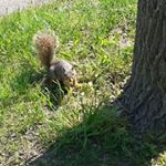 Profile Picture of jeff stumbo (@stumbo_jeff) on Instagram