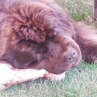 Steve Dakin - Quora Profile Picture of Steve Dakin (@steve-dakin-1) on Quora