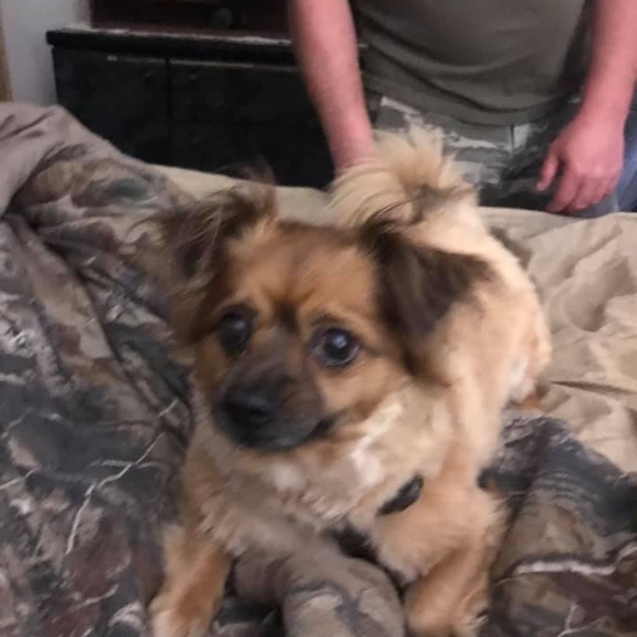 Profile Picture of Patty Tolzmann (@pattyann11) on Poshmark