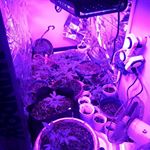 Profile Picture of Jeremy Francis-Fields (@grxxvn420) on Instagram
