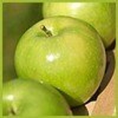 Profile Picture of Rhonda Pendleton (@RhondaPendleto5) on Twitter