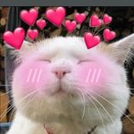 Profile Picture of Muneeb Khan (@hardcore_muneeb) on Instagram