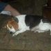 Profile Picture of Kim Ahner (@132kahner) on Pinterest