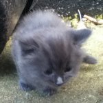 Profile Picture of Daniel Vowles (@daniel_vowles_509) on Instagram