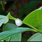 Laurel Sampson - Instagram Profile Picture of Laurel Sampson (@laurelsampson) on Instagram