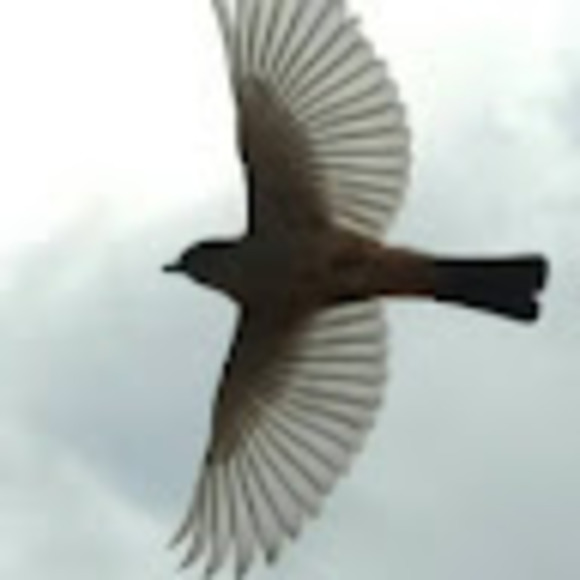 Profile Picture of John Hussmann (@ad2plus2) on Poshmark