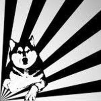 Profile Picture of Bryce Pierce (@bryce-pierce-13) on Quora