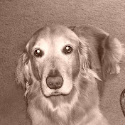 Profile Picture of Sean McAleavy (@seanmcaleavy2369) on Youtube