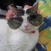 Profile Picture of Jerry Lecat (@jerry.lecat.9) on Facebook