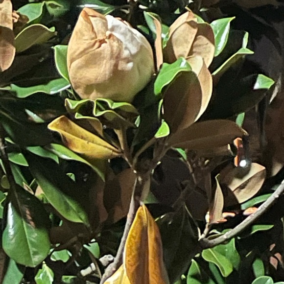 Profile Picture of Tori Gonzalez (@torig76) on Poshmark