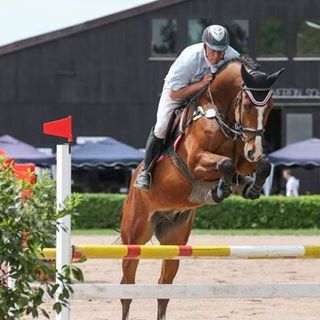 Profile Picture of Thomas Michel (@michelreitsport) on Facebook