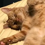 Profile Picture of Nathan Carwan (@ncarwan08) on Instagram