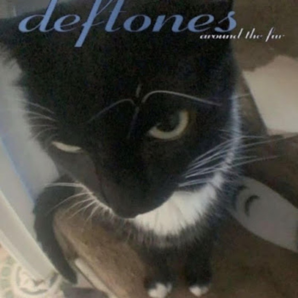 Profile Picture of Alexa Lozoya (@alexalozoya2008) on Poshmark