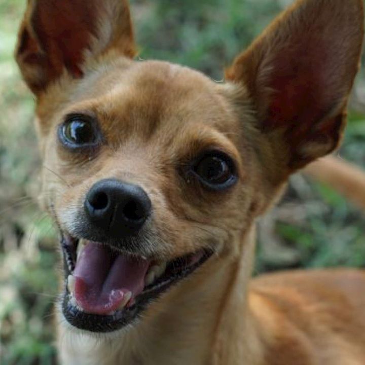 Profile Picture of Larin Johnson (@larin.johnson) on Tiktok