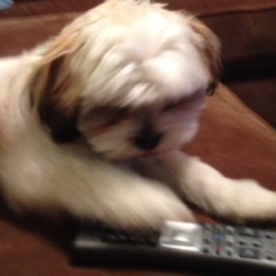 Profile Picture of Logan Bateman (@BG_andG_Geek) on Twitter