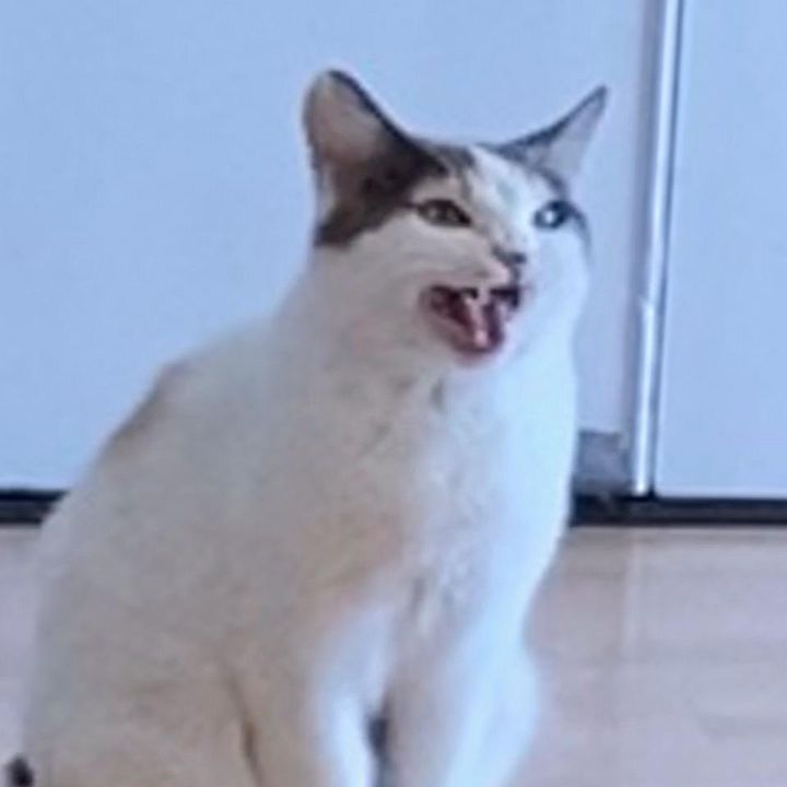 carly.najarian - Tiktok Profile Picture of carly.najarian (@carl.aisle) on Tiktok