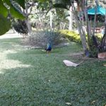 jose Arturo corral prieto - Instagram Profile Picture of jose Arturo corral prieto (@josearturocorral) on Instagram