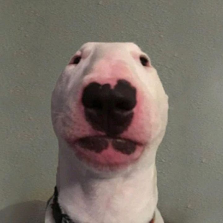 jaywinslow2 - Tiktok Profile Picture of jaywinslow2 (@@jaywinslow2) on Tiktok