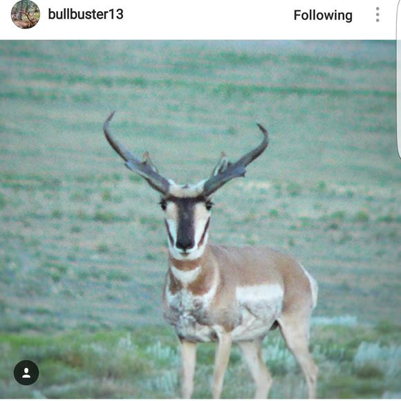 Profile Picture of Rick Beery (@bowtec101) on Poshmark