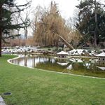 Profile Picture of hosein.yazdani (@hosein.yazdanish) on Instagram