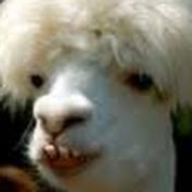 Profile Picture of Tyler Luna (@tylerluna6369) on Youtube