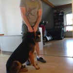 Profile Picture of Kevin Kinsley (@usernamealreadyexists1016) on Instagram