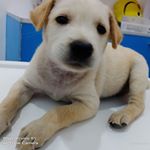 Profile Picture of Taga Eskina SA Badiangon (@sabadiangon) on Instagram