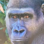 Profile Picture of John Milos (@John-Milos) on Facebook