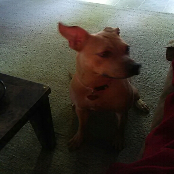 Profile Picture of Jean Labanowski (@jlabanowski) on Poshmark