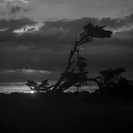 Profile Picture of Gatto Fedez (@lucas gatto fernandez) on Flickr