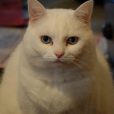 Profile Picture of David Keith Mendel (@davidkml) on Twitter