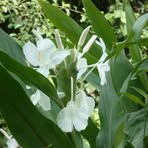 Profile Picture of Marguerite Marcelin (@marguerite.marcelin) on Facebook