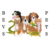 Profile Picture of Beverly Thompson (@beverlythompson6643) on Youtube