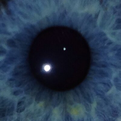Profile Picture of Andrew Liles (@ALiles4) on Twitter