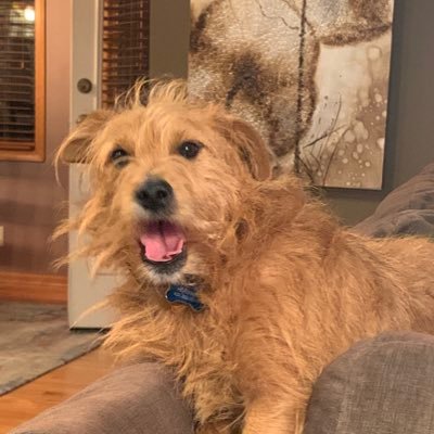 Profile Picture of Brian Hoesing (@Hoser77) on Twitter