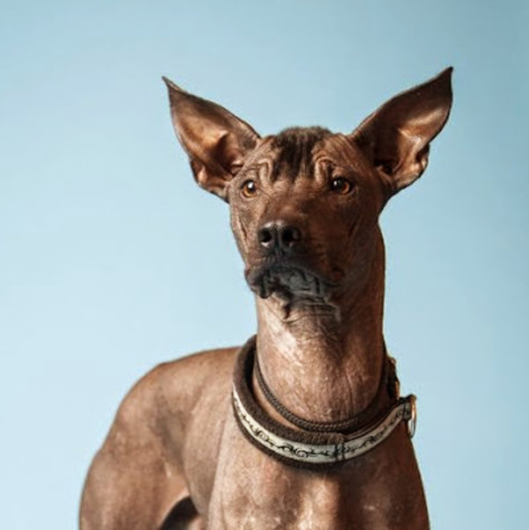 Profile Picture of Stephanie Zmudzinski (@s_zmudzinski) on Poshmark